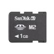 M2 SanDisk 1GB w/o adapter (Bulk)