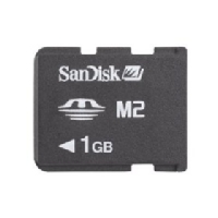 M2 SanDisk 1GB w/o adapter (Bulk)