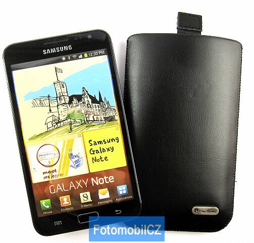 Pouzdro Pierre Cardin Samsung N7000 Galaxy Note